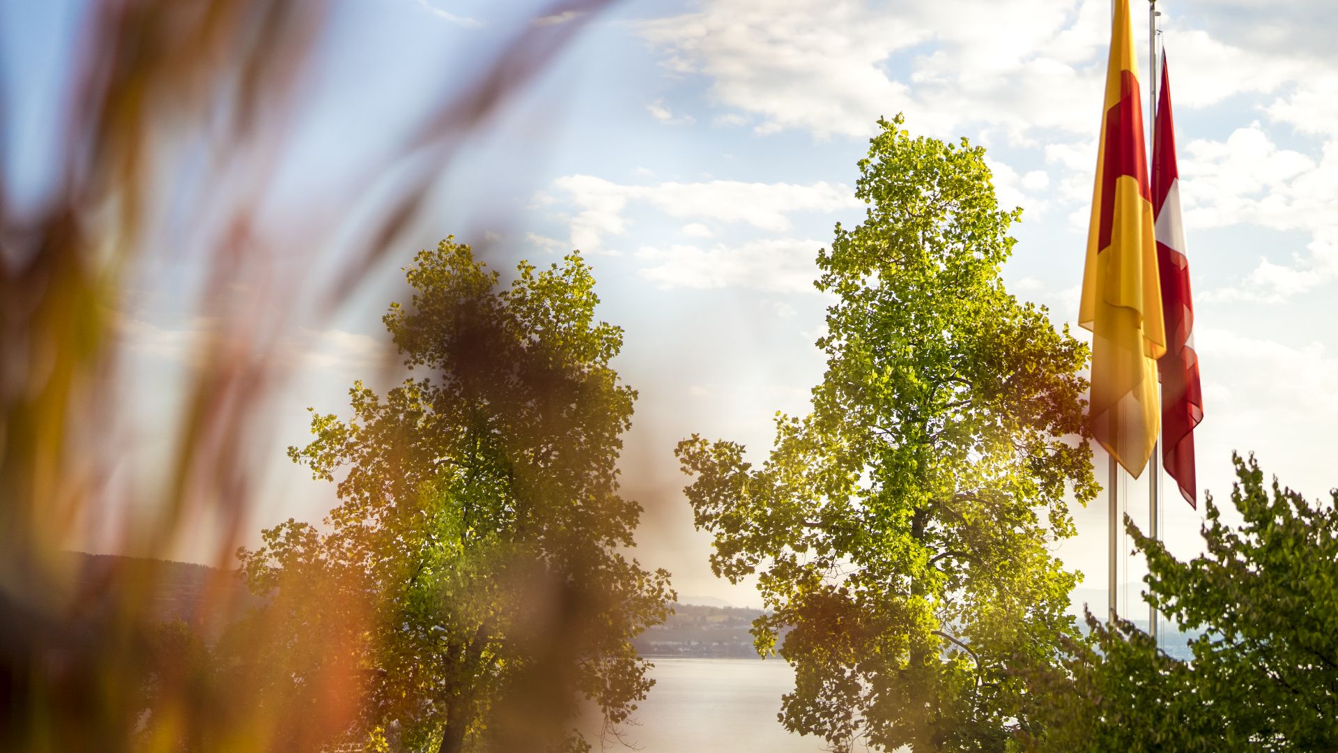 Wisli am See<br>Das kompetente, <br>herzliche Alters- und Pflegeheim